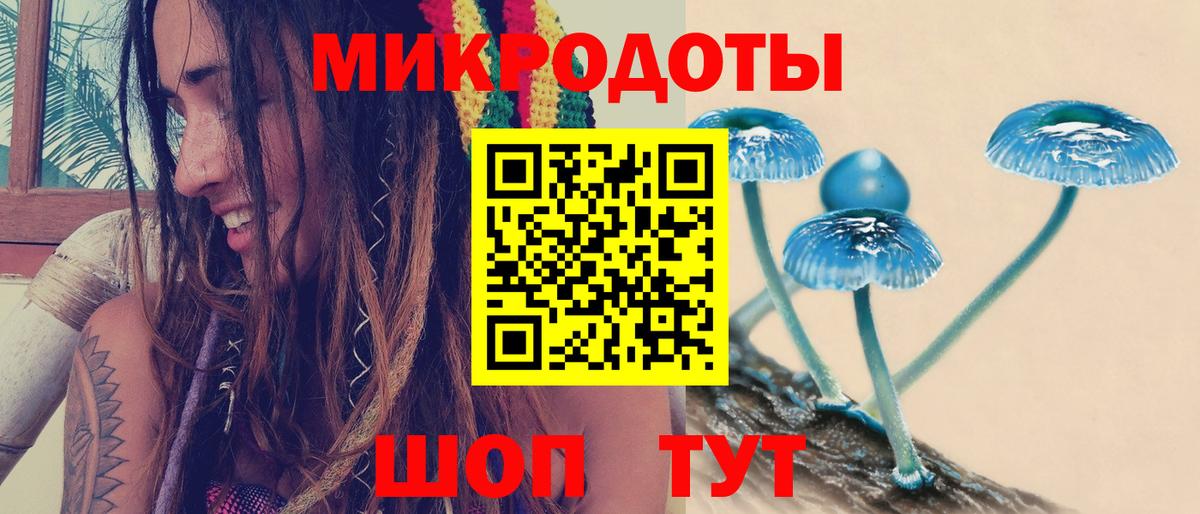 Псилоцибиновые грибы Psilocybe Донецк